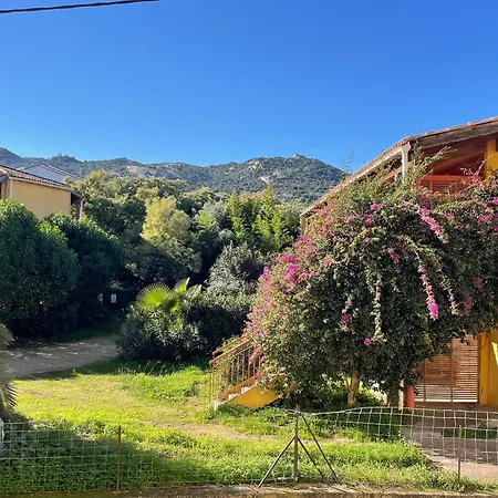 Apartment Paradis A Calvi (Corsica)