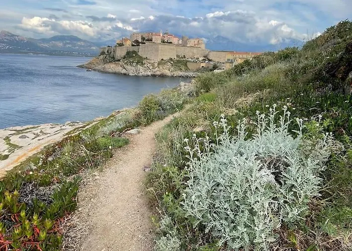Apartment Paradis A Calvi (Corsica)