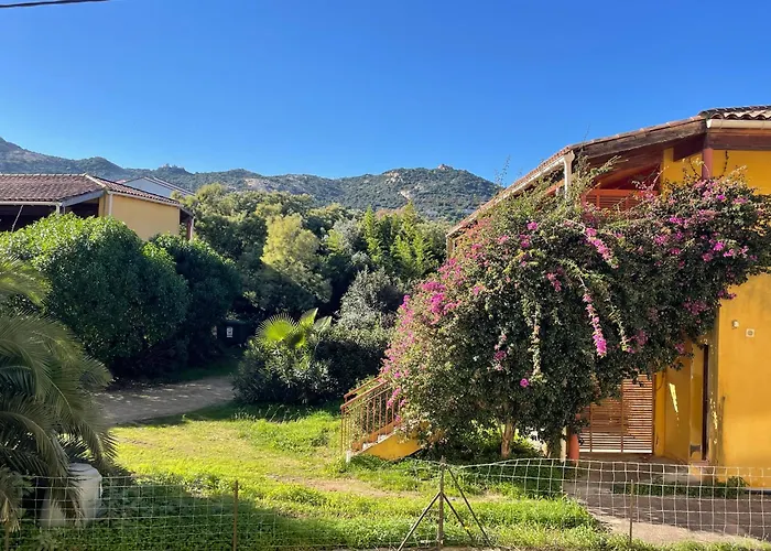Apartment Paradis A Calvi (Corsica)