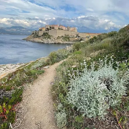 Daire Paradis A Parking Prive En Option - Gr20 Teletravail Calvi (Corsica)