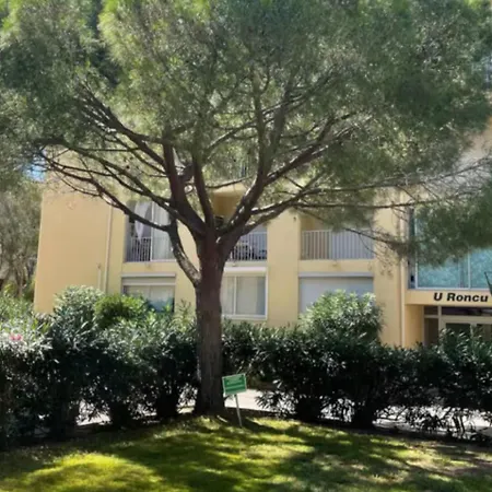 Paradis A Καλβί