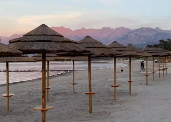 דירה Paradis A קאלבי